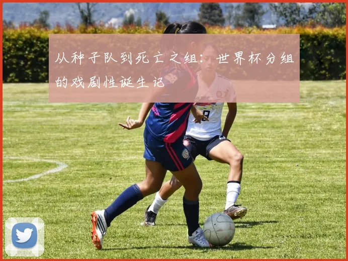 从种子队到死亡之组：世界杯分组的戏剧性诞生记
