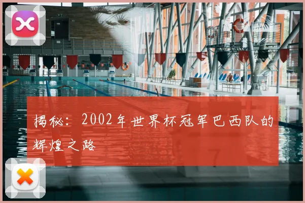 揭秘：2002年世界杯冠军巴西队的辉煌之路
