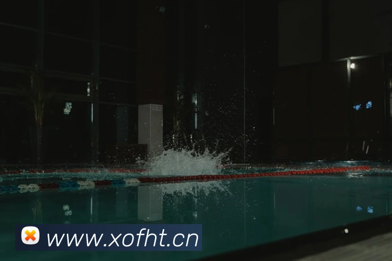 多媒体互动体验